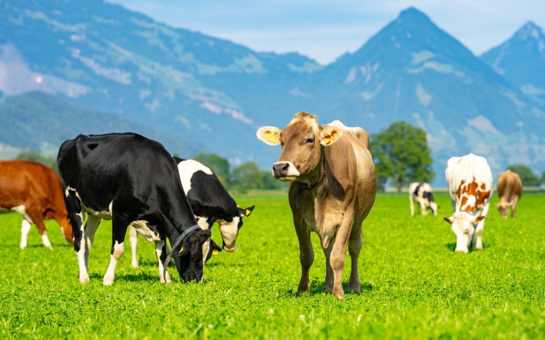 New Regulator for veterinary use